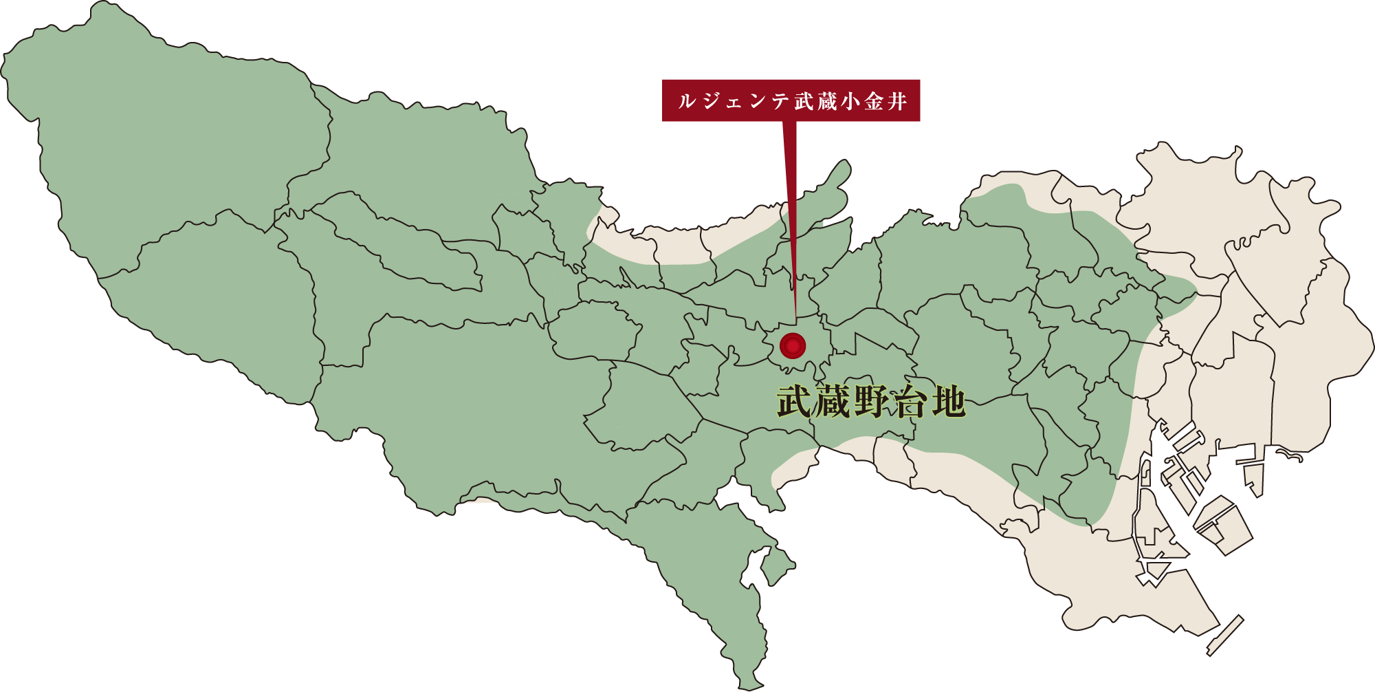 武蔵野台地地盤概念図